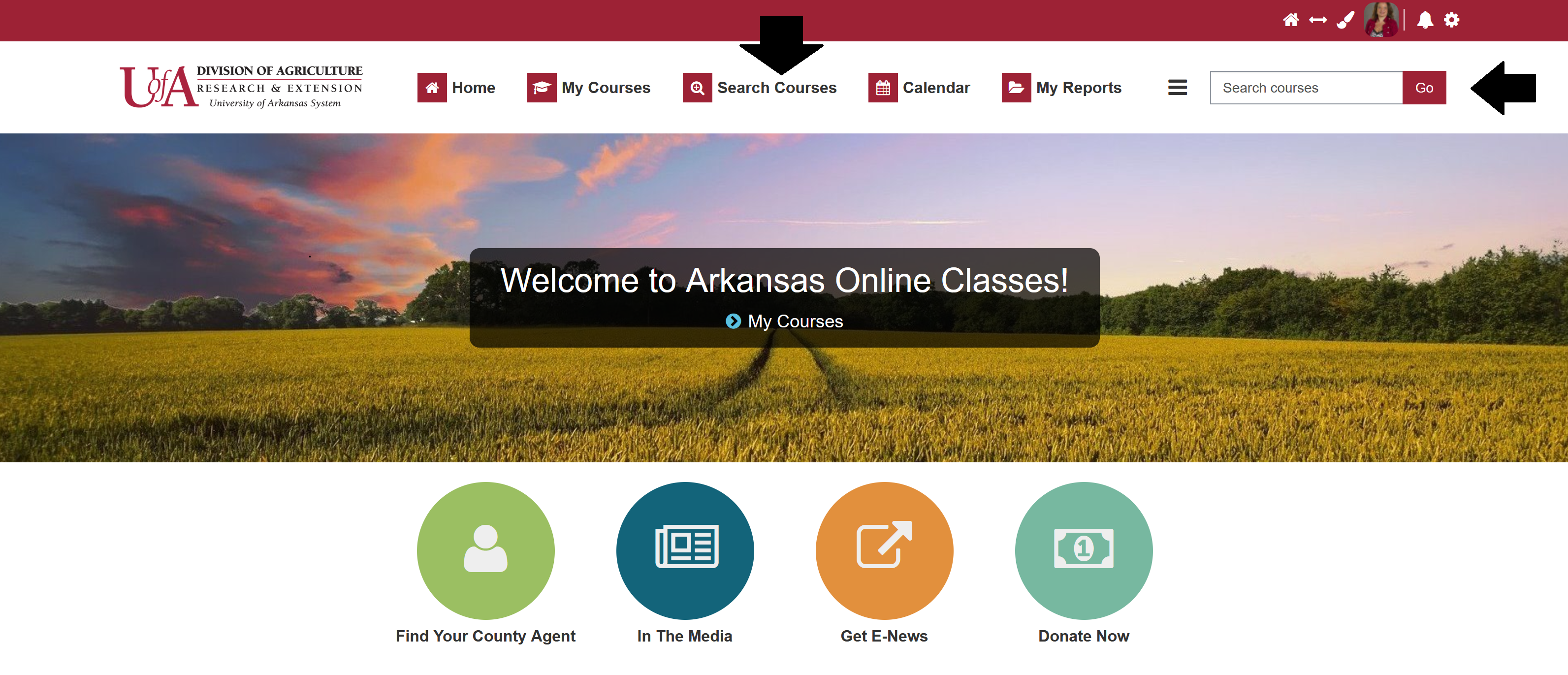 screenshot of home page for Learn