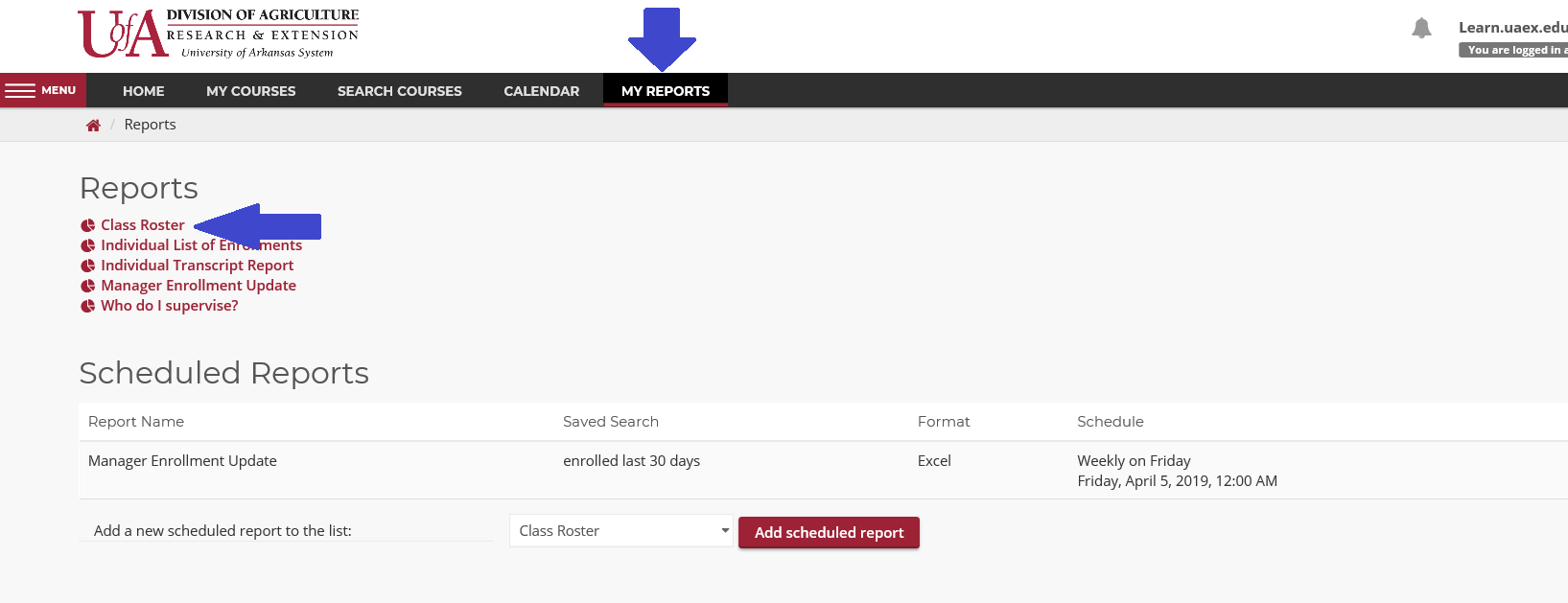 screenshot of reports page for instructors